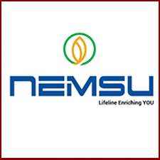 NEMSU PVC